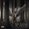 Ancient Cover Art • The Return Of Pegasus • Buy Cover Art