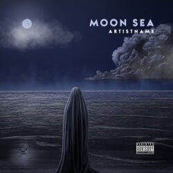 Mystery Album Art • Moon Sea • Buy Cover Artwork