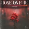 Rose Album Cover Art
