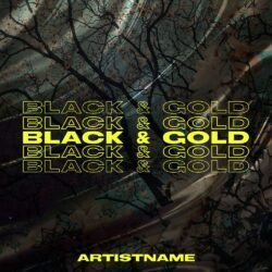 Black And Gold Album Cover Art