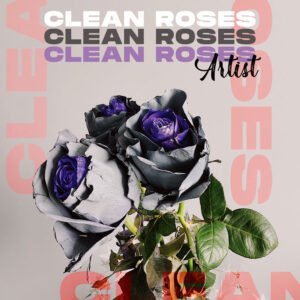 Clean Roses Album Cover Art