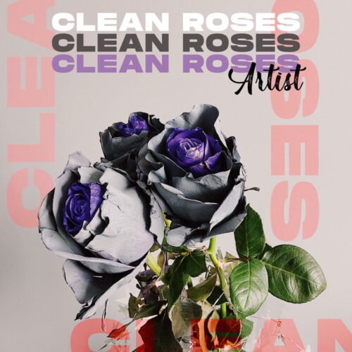 Clean Roses Album Cover Art - for Chillout, Dream Pop Music - style Collage, Modern Art - in Grey, Purple Color