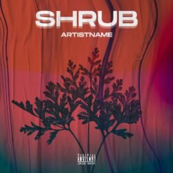 Shrub Album Cover Art - for Alternative Rock, Ambient Music - style Collage, Conceptual Art - in Red, Orange Color