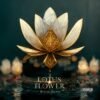 Lotus Flower Premade Album Cover Art