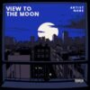 View To The Moon Premade Album Cover Art