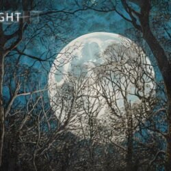 Moonlight Exclusive Premade Cover Artwork For Sale