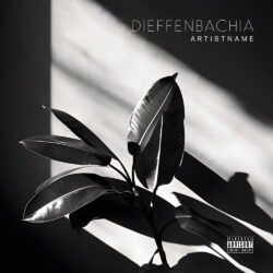 Dieffenbachia premade deep house album cover art - for Ambient, Chillout Music - style Minimalist, Monochrome - in Black, Grey Color