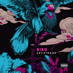 Bird Premade Illustration Album Cover Art Design - For Alternative Rock, Indie Rock Music - Style Illustrated, Line Art - In Blue, Pink Color