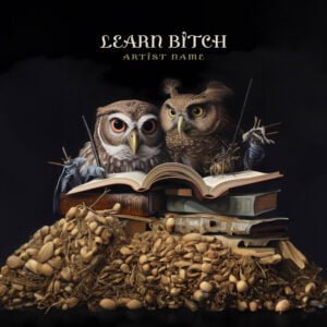 Premade Owl Album Cover Art Design