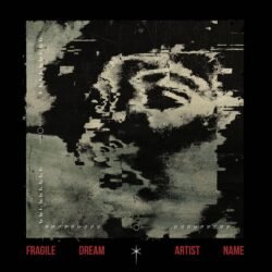 Fragile Dream premade glitch noise music album cover art - for Ambient, Darkwave Music - style Acid Graphics, Glitch Art - in Black, Grey Color