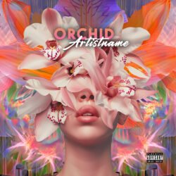 Orchid premade pop album cover art design - for Pop, Indie Pop Music - style Collage, Surrealist - in Pink, Orange Color