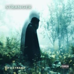 Strangers premade downtempo album cover art design - for Dark Pop, Alternative Rock Music - style Cinematic Style, Dark Surrealism - in Green, Blue Color