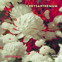 Chrysanthemum premade flower album cover art design - for Indie Pop, Dream Pop Music - style Illustrated, Maximalist - in Red, White Color