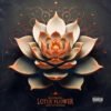 Blooming Lotus Flower Cover Art Design
