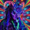 Shamen Album Cover Art Design