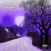 Winter Snow Premade Cover Art Design