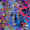 Buddha In Chaos Premade Cover Art Design
