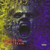 Echoes Of The Scream Death Metal Premade Cover Art
