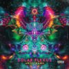 Solar Plexus Visionary Album Cover Artwork