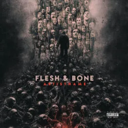 Flesh and Bone Dark Thriller Artwork for Album Cover and Book Design