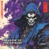 Shadow Of The Shinobi Dark Samurai Album Cover Art