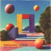 Organic Logic Surreal Abstract Retro Album Cover Art