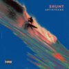 Shunt Wave Surfing Retro Album Cover Art